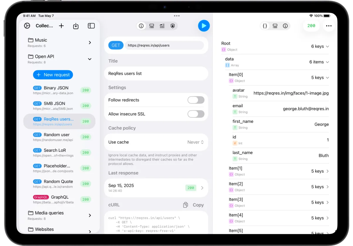 API Orbit 26 on iPad showing split-pane layout with collections on the left and JSON response on the right