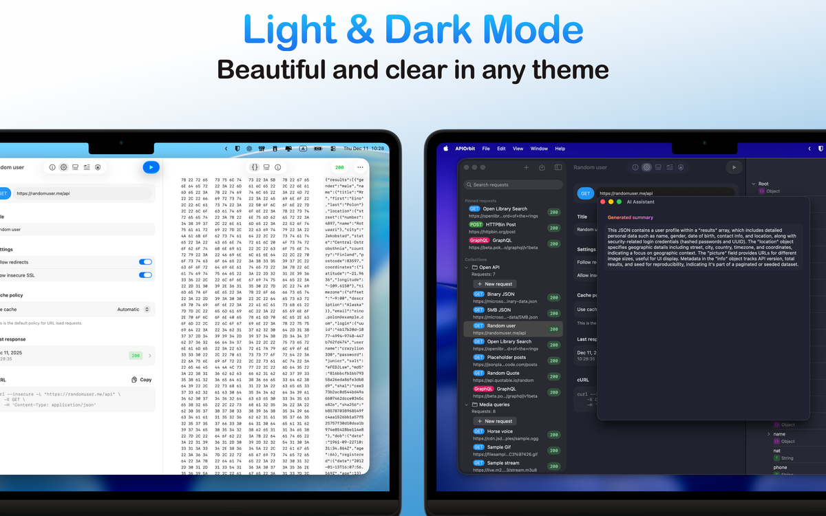 Two MacBook screens side-by-side, showcasing the API client app in both light and dark modes.